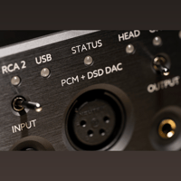 Violectric DHA V226 variant 7