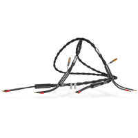 Synergistic Research Atmosphere SX Euphoria Speaker Cable variant 1