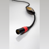 Jorma Audio Statement variant 2