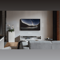 MartinLogan Motion MC4 variant 40