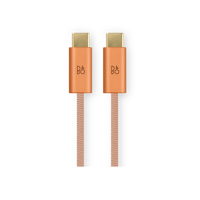 B&O-Bang & Olufsen  Beoplay H100 variant 6