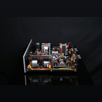 SW1x AMP I “Genie” Integrated Amplifier variant 15