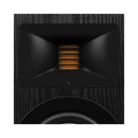 Fluance Fluance RT82 Vinyl Turntable, Ri91 Powered Floorstanding Speakers, PA10 Preamp variant 6