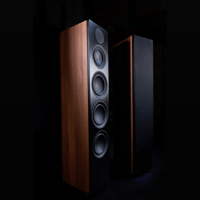 Scansonic L20 – Full Range Floor Stander variant 2