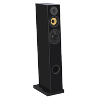 Davis Acoustics Courbet N°7 variant 6