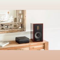 MartinLogan Forte variant 17