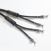 VooDoo Cable Renaissance XRS Speaker Cable variant 1
