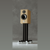 Marten Dexter Duo variant 4