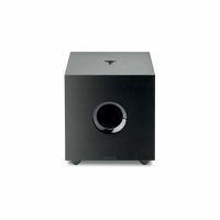 Focal Cub Evo variant 1