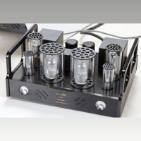 Allnic/ZL Technologies H-8000 DHT variant 1