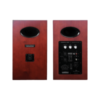 Edifier Airpulse A200 variant 2