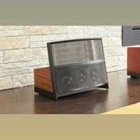 MartinLogan Illusion  ESL C34A variant 2