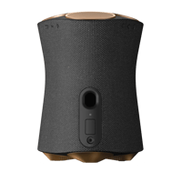 Sony RA5000 Premium Wi-Fi Enabled 360 Reality Audio Speaker variant 3