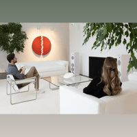 MartinLogan Motion Foundation F2 variant 22