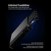 Cayin N6ii variant 2