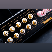 Cayin Soul 170I variant 3