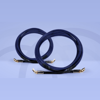 Connected Fidelity Unity One variant 1