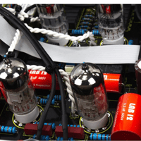 Lab 12 melto2 variant 7