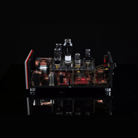 SW1x MPA IV “Aurora” Mono Power Amplifier variant 9