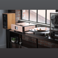 Merrill Audio Element 116 Power Amplifier Monoblocks variant 4