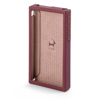 Astell & Kern PD10 Case variant 6