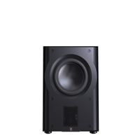 Perlisten R210s variant 1