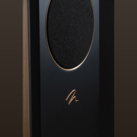 MartinLogan Motion XT F100 variant 24
