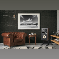 Elipson HERITAGE XLS 11 variant 9