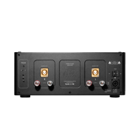 Starke Sound A2 variant 4