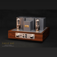 ThivanLabs EAGLE 845 H&S variant 1