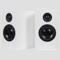 Totem Acoustic Bison Monitor variant 5