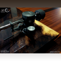 JWM Acoustics KAREN 12 variant 4