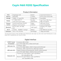 Cayin N6iii R202 variant 21