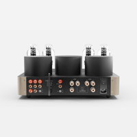 Fezz Audio Lybra 300B variant 28