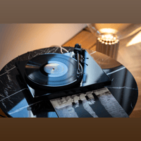 Pro-ject Audio Systems - USA Debut EVO 2 variant 8