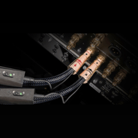 AudioQuest ThunderBird RCA > RCA variant 2