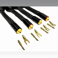 Tara Labs The Grand Master Evolution variant 2