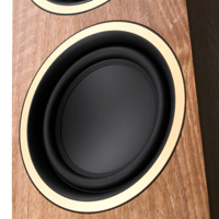 Argon Audio FENRIS A55 variant 9