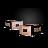 Merrill Audio Element 118 Power Amplifier Monoblocks variant 2