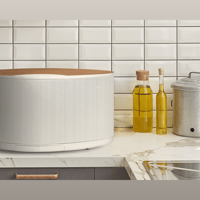 Bryston BW-2 All-in-One Wireless Speaker System variant 1