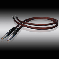 Evolution Acoustics BNC Links variant 1