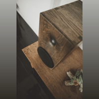 Buchardt Audio E50 variant 22