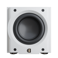 Perlisten R8s variant 15