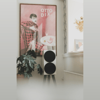 Buchardt Audio P300 variant 9