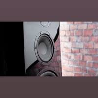 SVS SVS Ultra Evolution Pinnacle variant 13