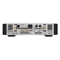 Leema Acoustics Hydra II Anniversary variant 3