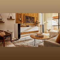 PS Audio Aspen FR10 Loudspeaker variant 3