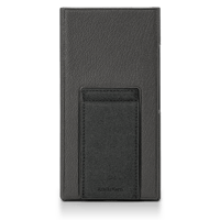 Astell & Kern PD20 Case variant 4