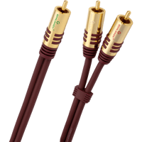 Oehlbach NF Y-Sub variant 1