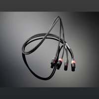 Jorma Audio Trinity variant 1